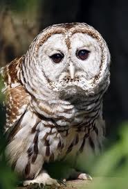 Dmitry Nekrash sorry i'm late | Минск