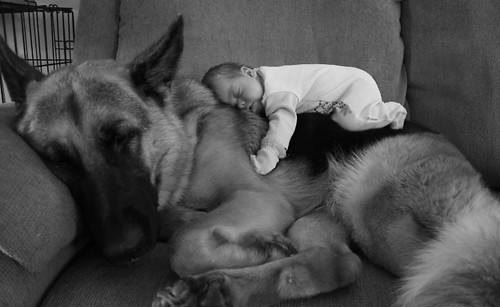 Макс Емец | Киев