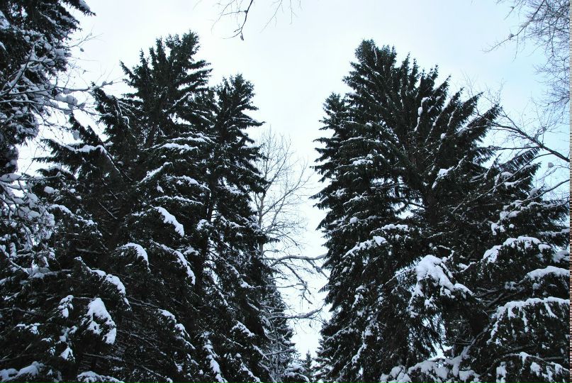 Татьяна Глухова | Санкт-Петербург