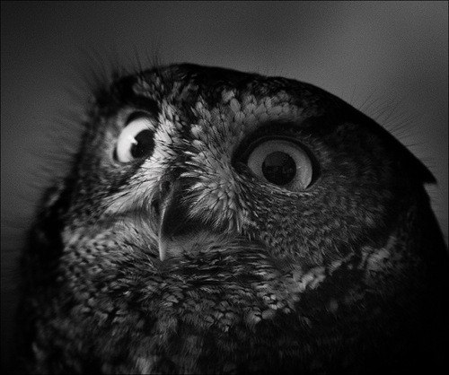 Ирина Вумен | Минск