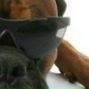 Jemes Bond «Never Say Never Again» | Сочи