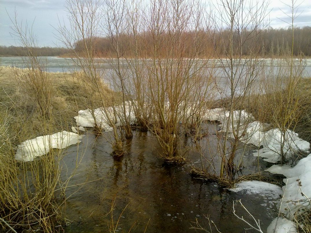 Влад Ковальчук | Мена