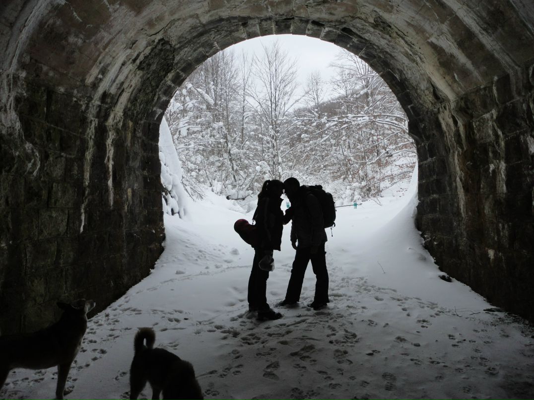 Кристина Милюченко HEART OF STEEL | Николаев
