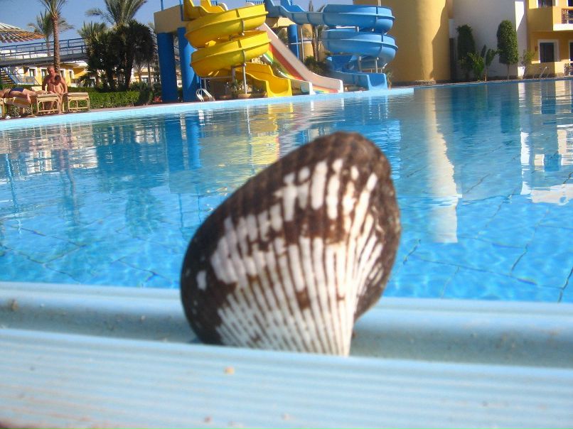 Роман Скобеев | Гатчина