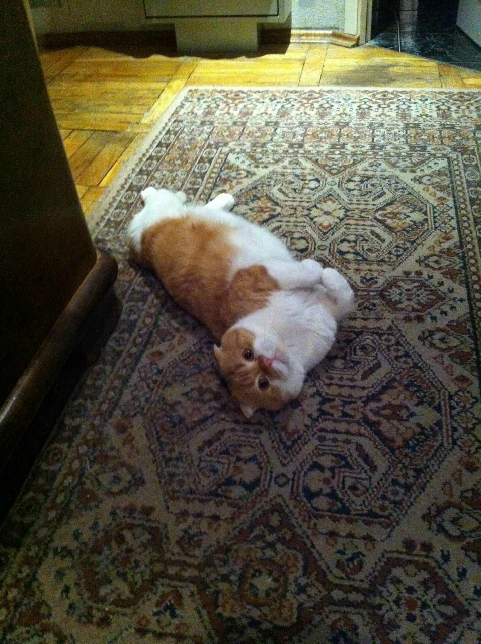 Александр Келенчук | Москва