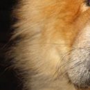 №198, Полина Долгих, 35 лет №198, Полина Долгих, 35 лет