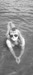 Анюта Лахтионова фотография #31
