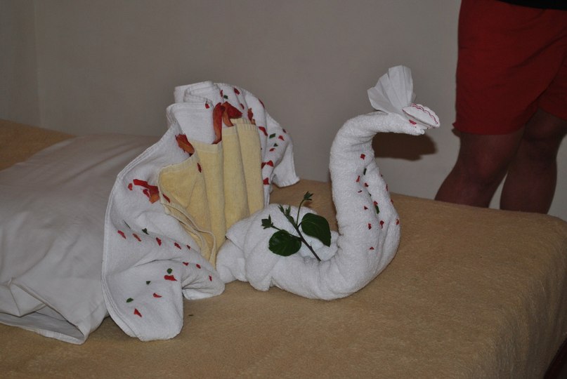 Артем Шерифович | Киев