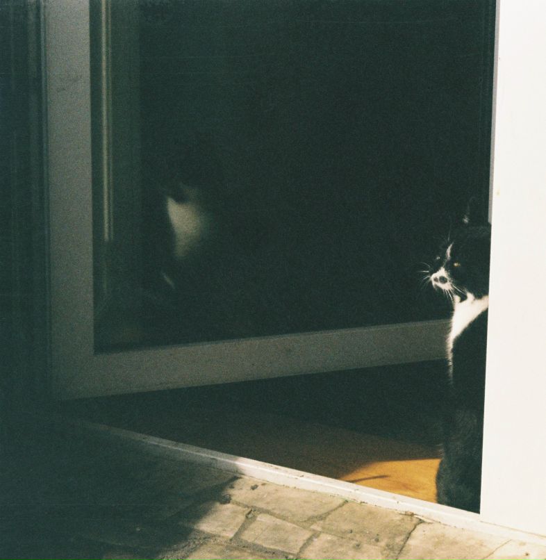 Михаил Летов | Орёл