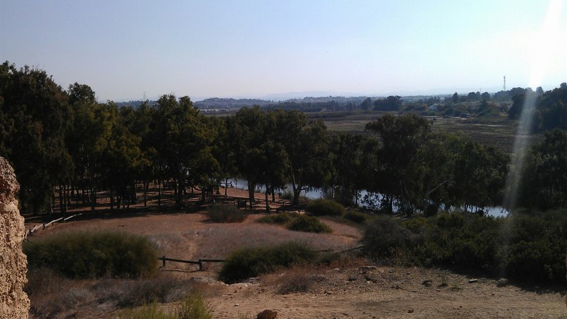 Михаил Чеботарский | Нетания