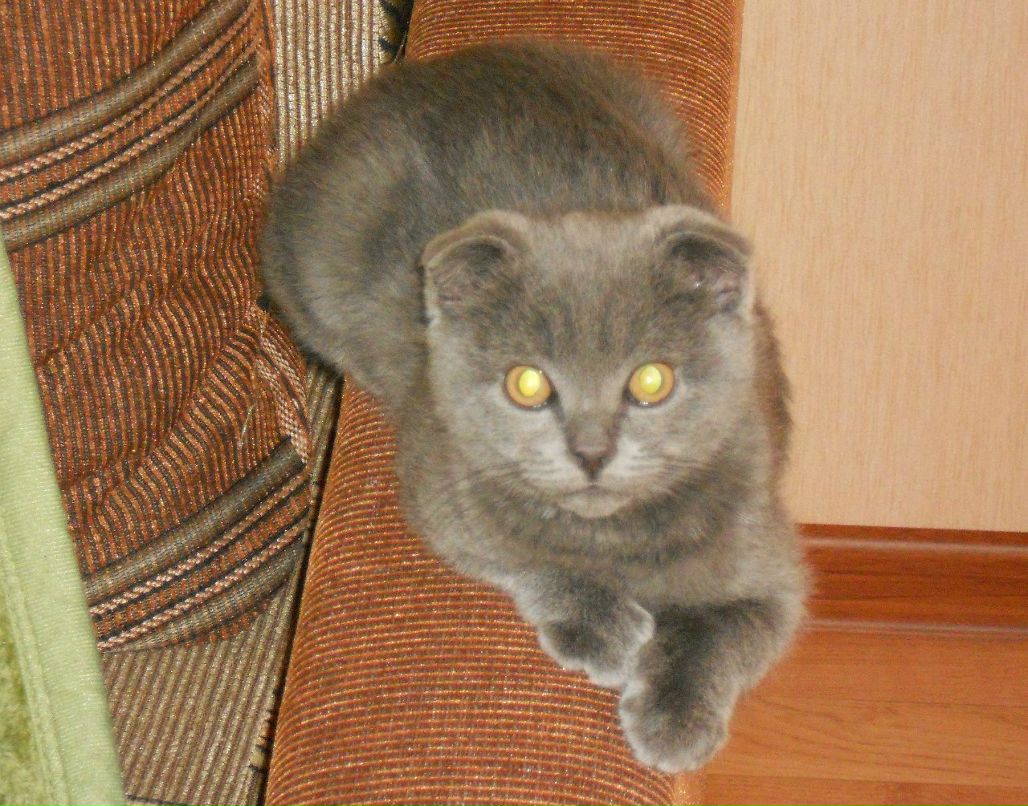 Ксения Арсеньева °•..☆ I ♥ Life ☆..•° | Щелково