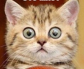 Александр Зубченко ┌∩┐(◣_◢)┌∩┐ :. ஜ``$-ZUB-$``ஜ.: | Черкассы