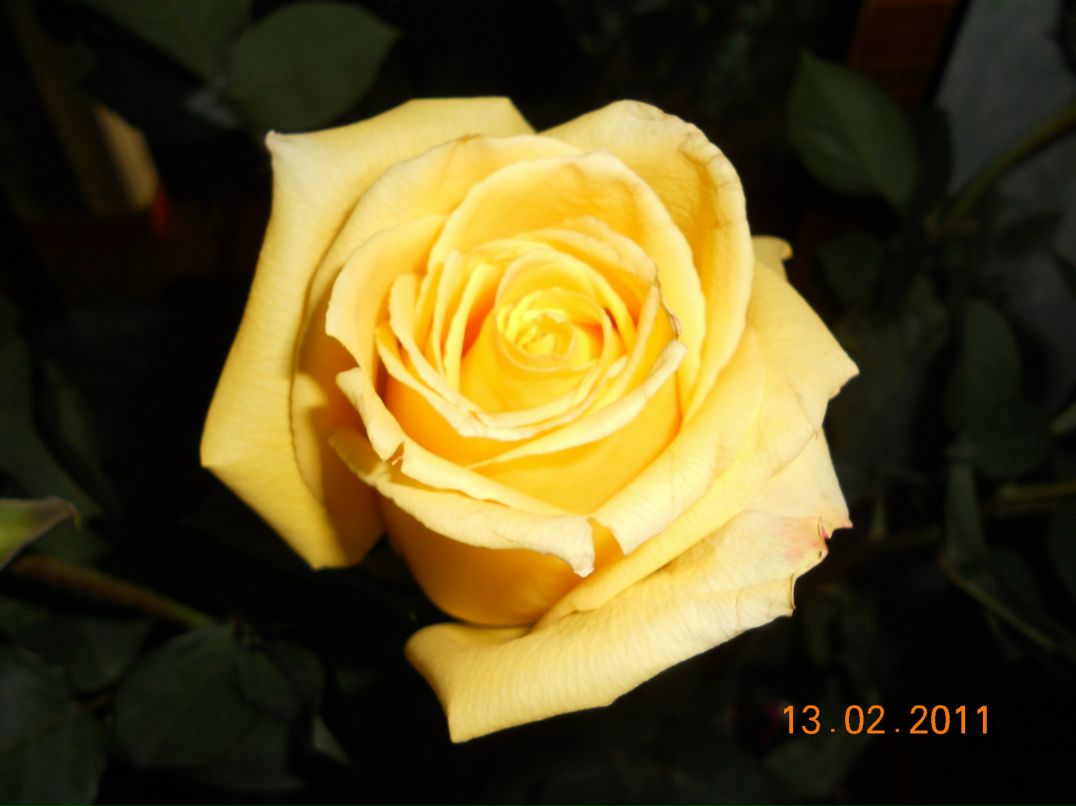 Наталья Смирнова | Туймазы