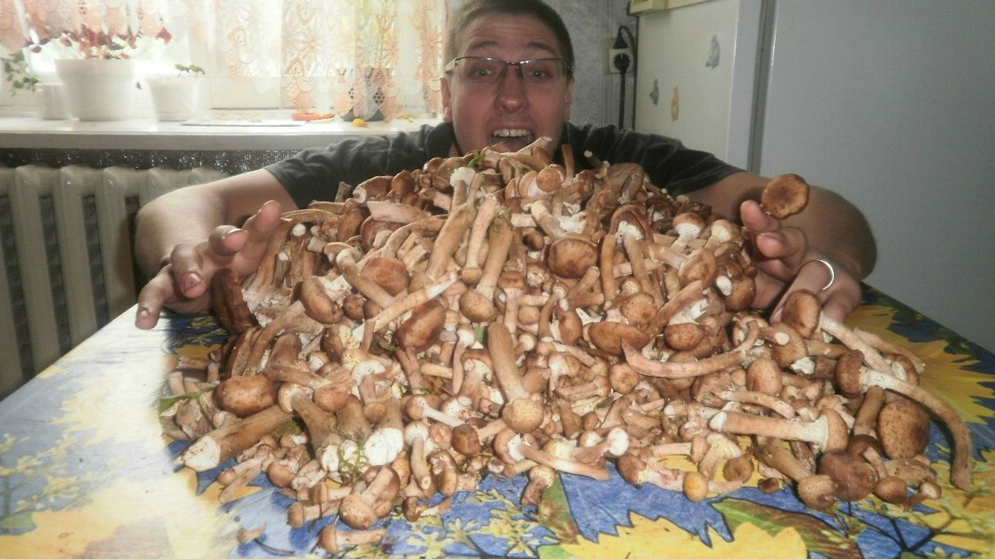 Паша Пац | Могилёв