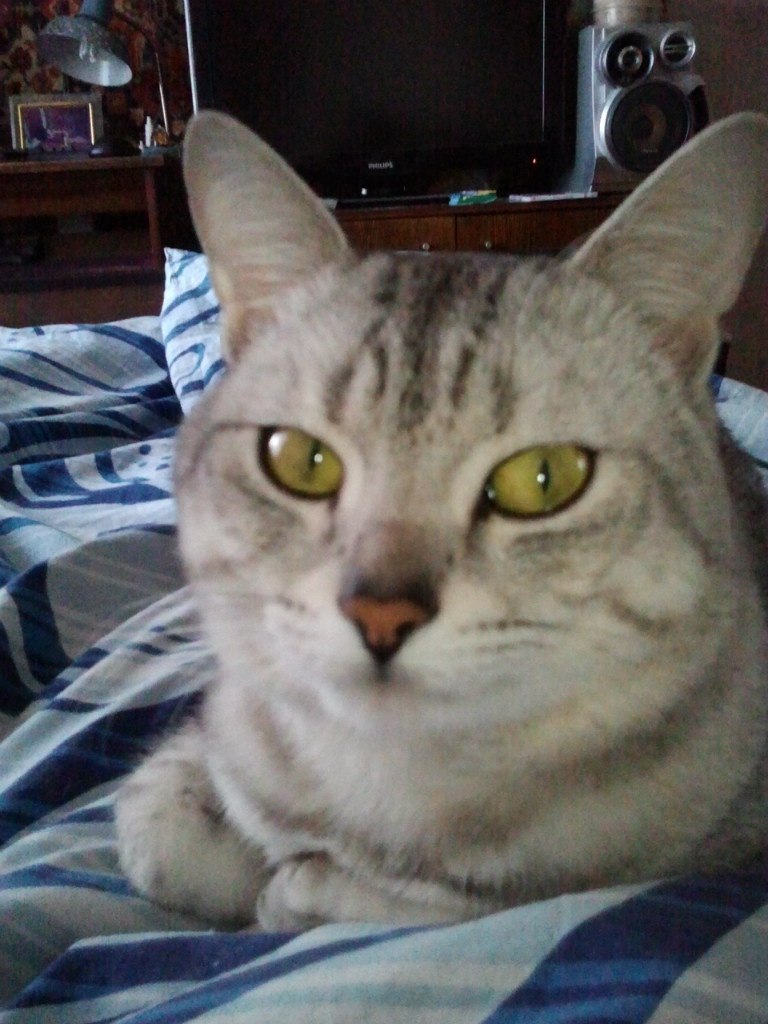 Марина Федотова | Нижний Новгород