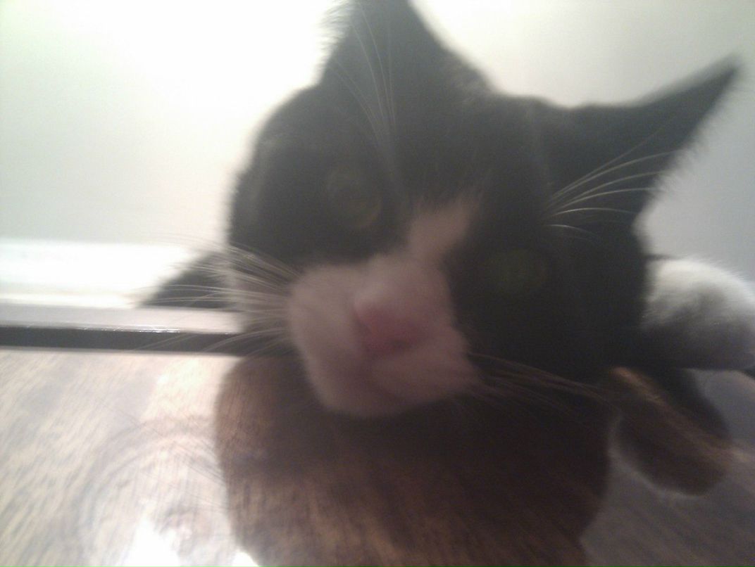 Александр Гончаров | Москва