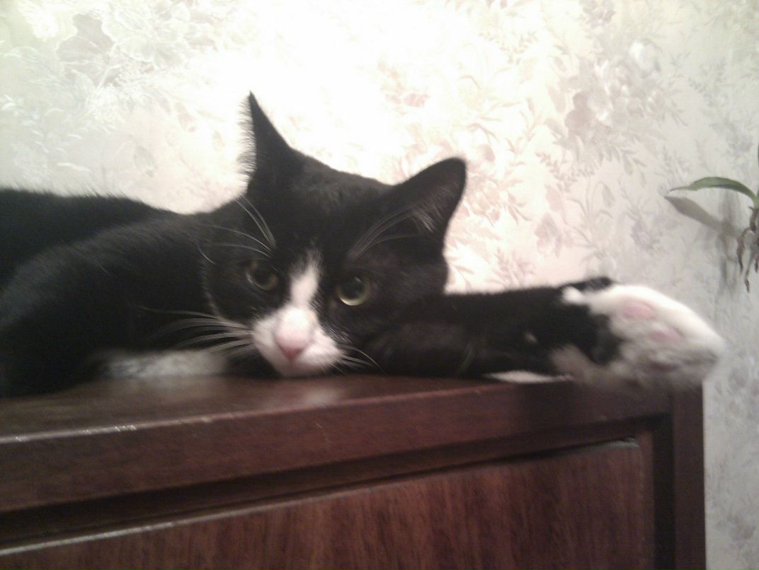 Александр Гончаров | Москва