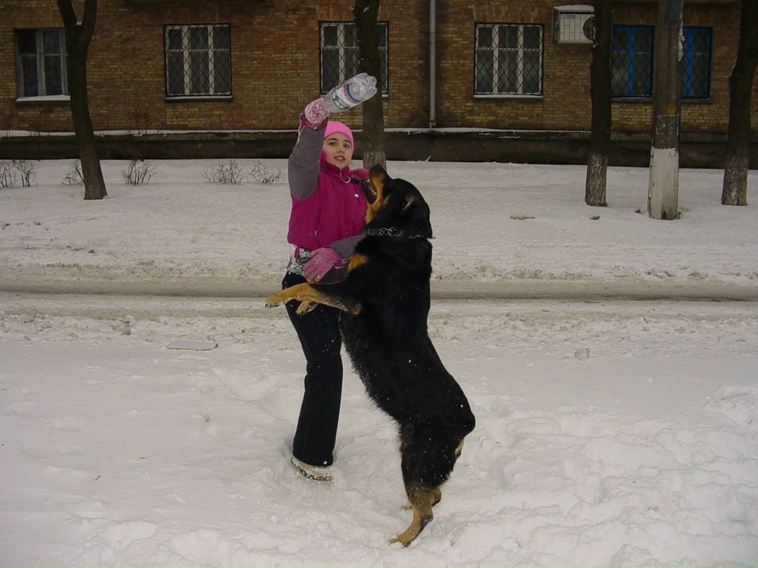 Юрий Касьян | Киев