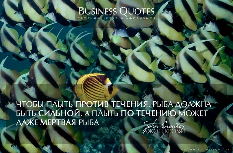 Юлия Понамарева | Мурманск