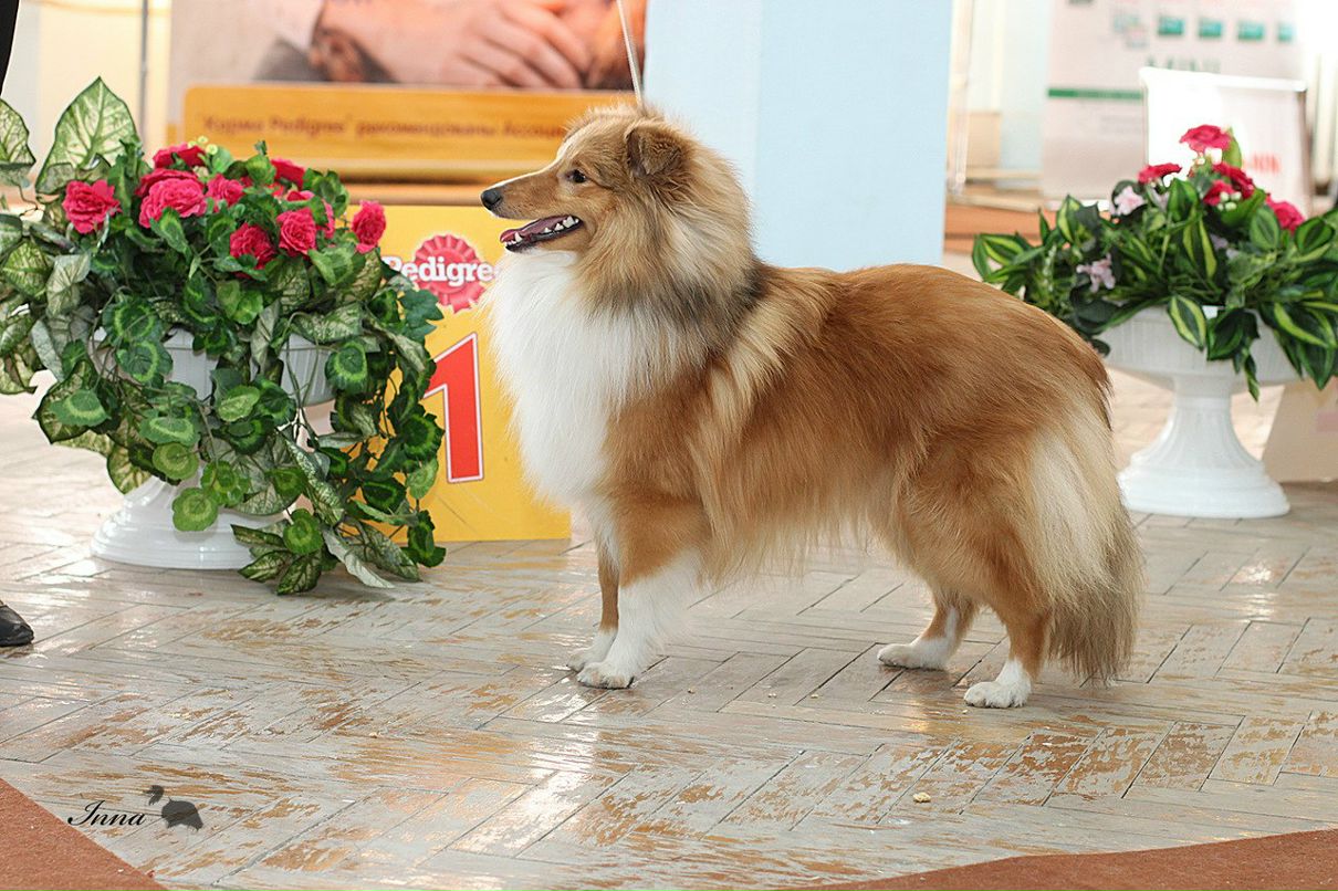 Екатерина Цапаева | Екатеринбург