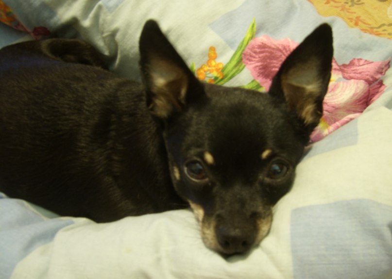 Екатерина Анисимова | 