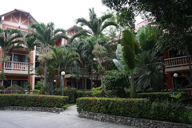 Виктория Богач | Красноярск