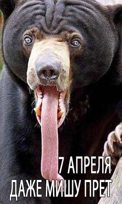 Михаил Парулов riddle | Токмак