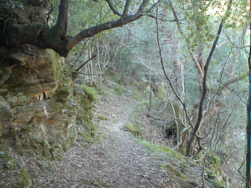 Fotis Fotiadis | Thessaloniki