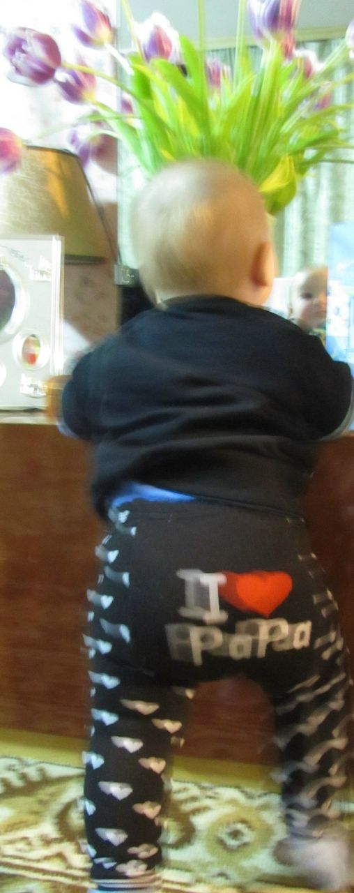 Александр Носенко Васильевич | Киев