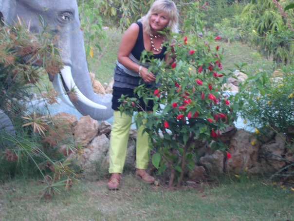 №149, Ирина Барканова, 53 года, Санкт-Петербург №149, Ирина Барканова, 53 года, Санкт-Петербург