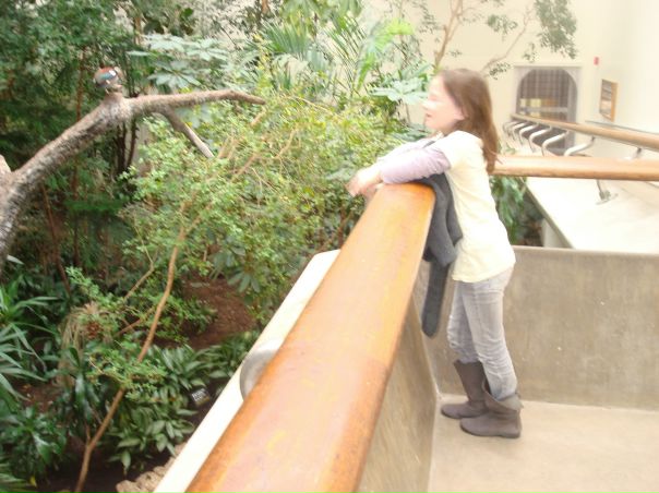 №6, Алёна Кей, Los Angeles №6, Алёна Кей, Los Angeles