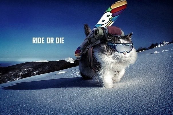 Антон Зонов Олегович | Эссо