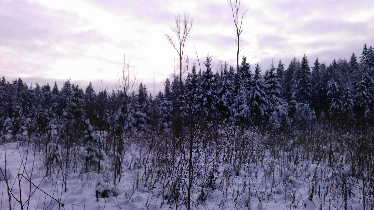Андрей Мелик-Парсаданян | Фрязино