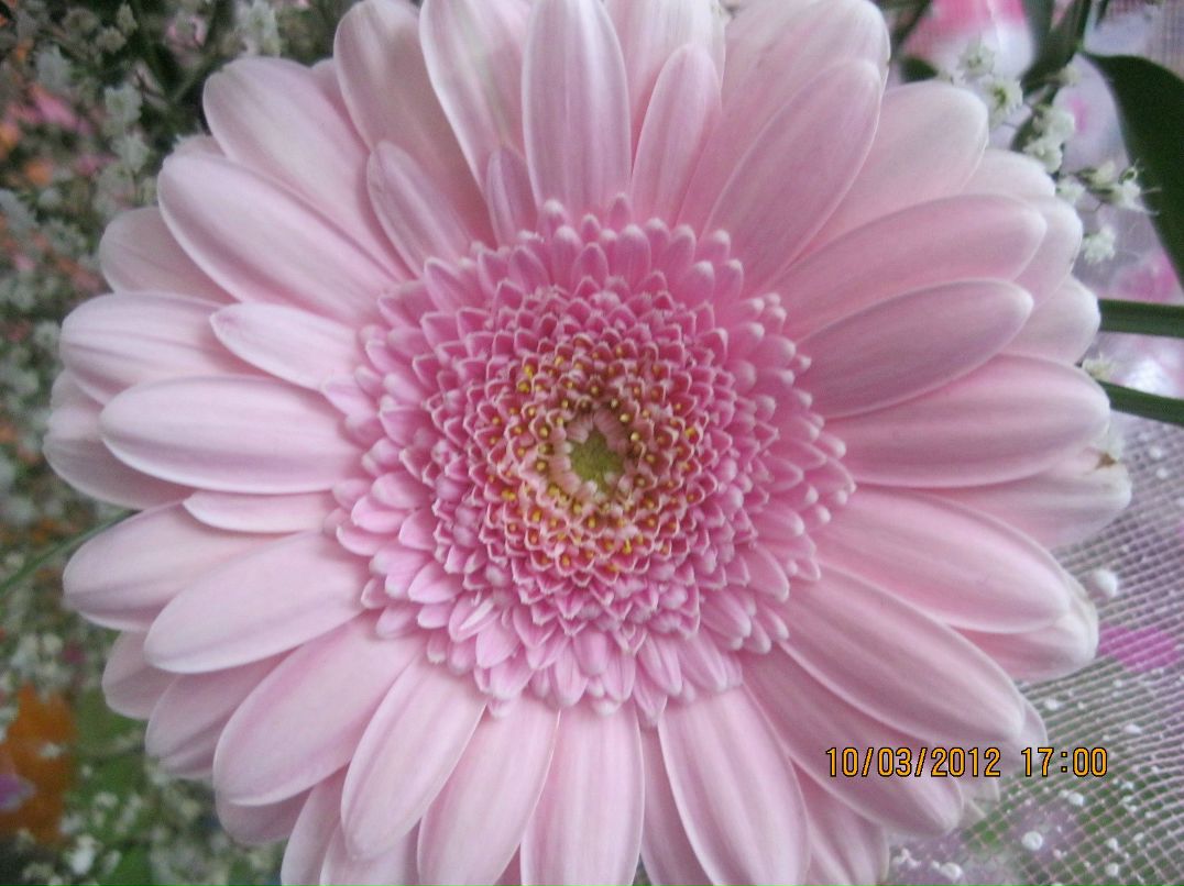 Инна Моисеева | Сортавала