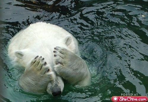 №46, Ольга Мудриченко, 44 года, Санкт-Петербург №46, Ольга Мудриченко, 44 года, Санкт-Петербург