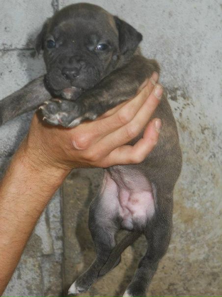 №9, Никита Силютин, 34 года, Giulianova №9, Никита Силютин, 34 года, Giulianova