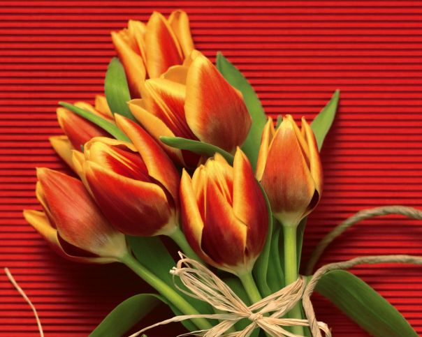 №50, Ирина Князева, 42 года, Волжский №50, Ирина Князева, 42 года, Волжский