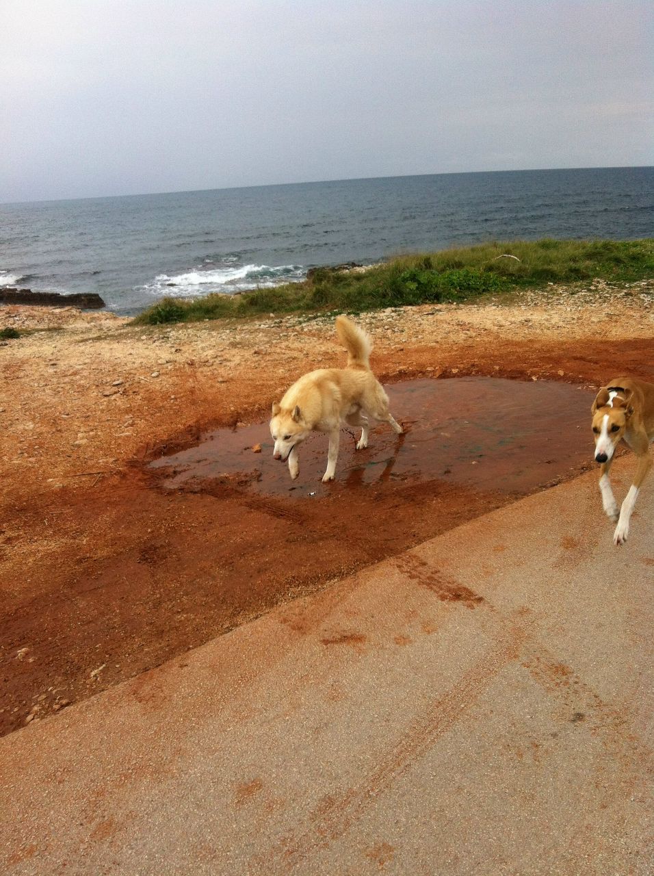 Антон Шумилов | Нижний Новгород