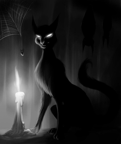 Хидан Hidan | Москва