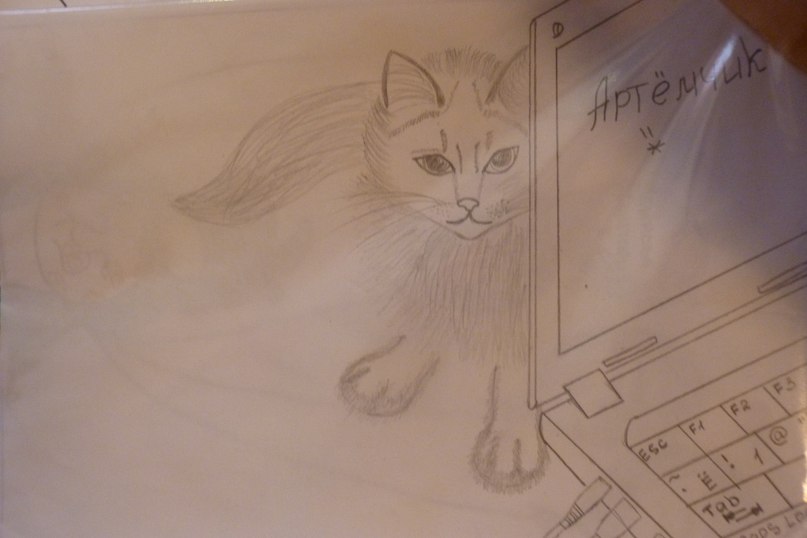 Артем Фофанов KOTYARA | Нолинск