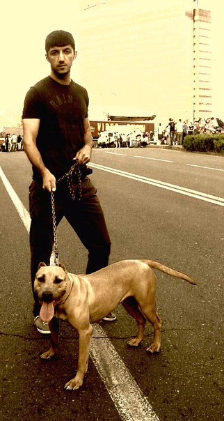 №23, Sahib Rajabli, 38 лет, Киев №23, Sahib Rajabli, 38 лет, Киев