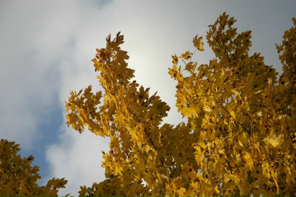 №1, Сергей Русол, 45 лет, Кривой Рог №1, Сергей Русол, 45 лет, Кривой Рог