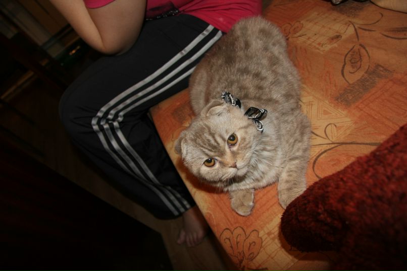 Анастасия Калиновская | Кизел