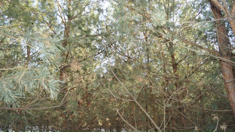 Иринка Удалова | Уральск