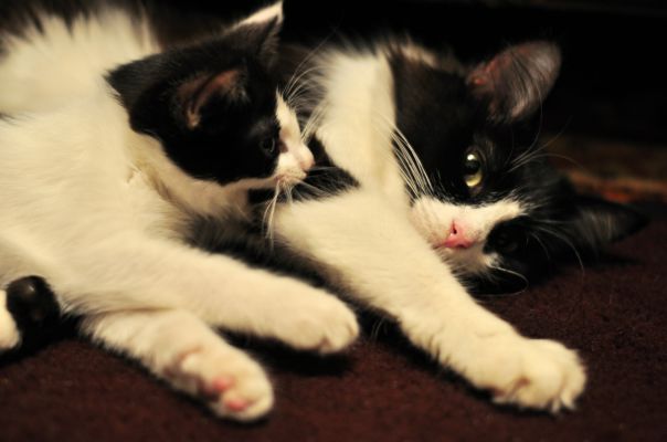 №36, Алина Цыганкова, 34 года №36, Алина Цыганкова, 34 года