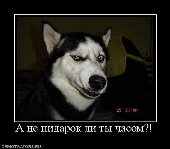 №29, Виталий Александрович, 40 лет, Подольск (село) №29, Виталий Александрович, 40 лет, Подольск (село)