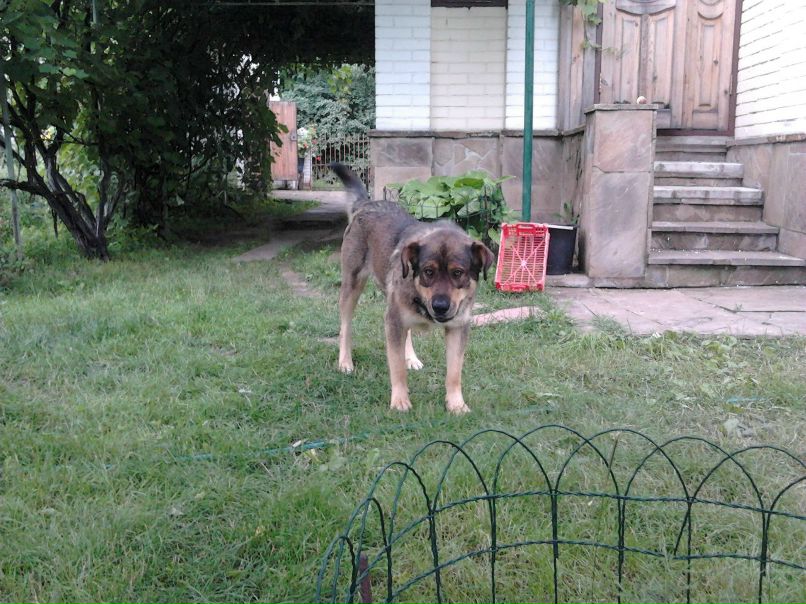 Міша Дяченко | Каменка-Бугская