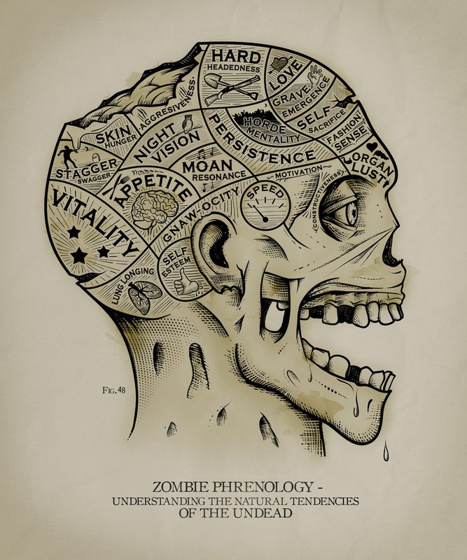 Михаил Ракицкий | Санкт-Петербург