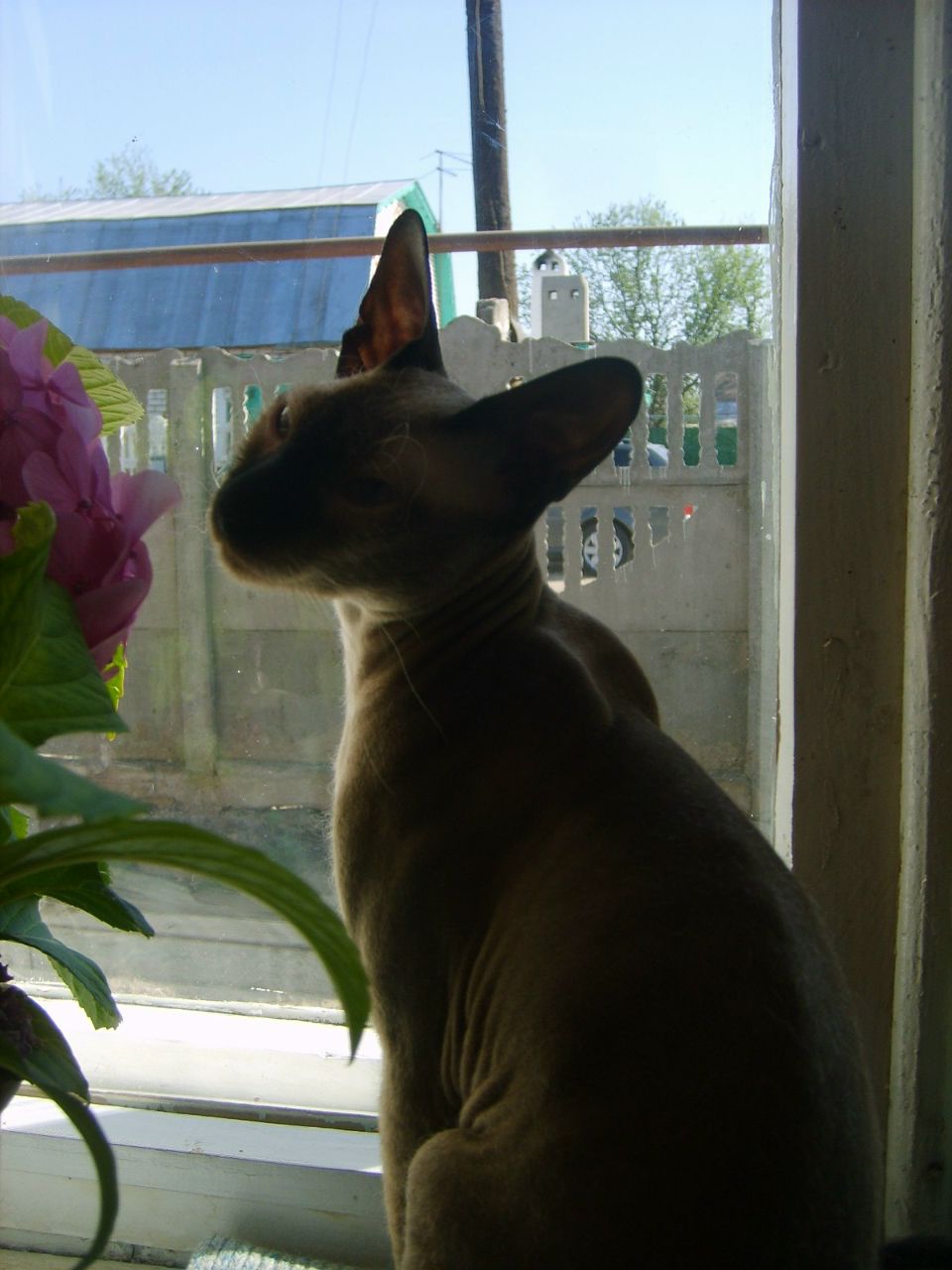 Ирек Магсумов | 