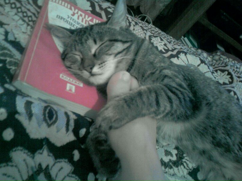 Туйара Маркова Валерьевна | Якутск